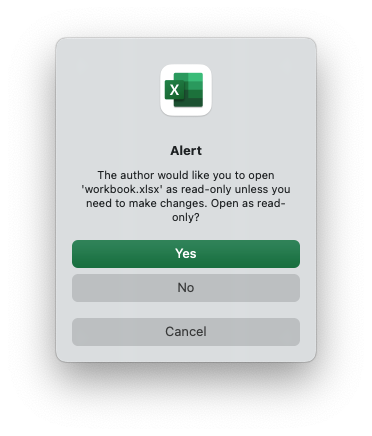 Excel read only alert